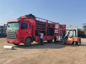 金用護(hù)欄2021年4月19日鋅鋼護(hù)窗欄桿發(fā)貨！